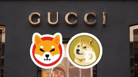 gucci accepts shiba